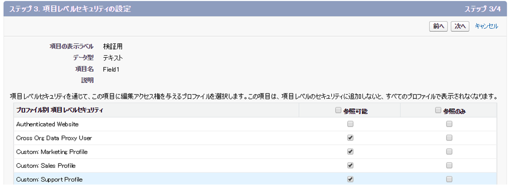 Salesforce設定画面イメージ