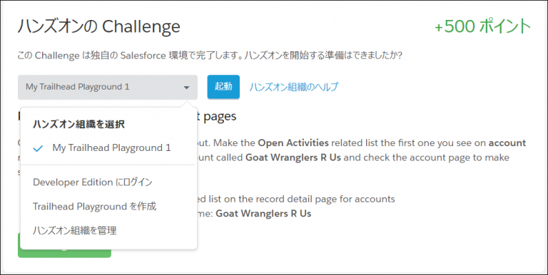 Salesforce技術ブログ：みんな必ず1度はつまずく！Trailhead ハンズオンのChallengeでのつまずき回避策