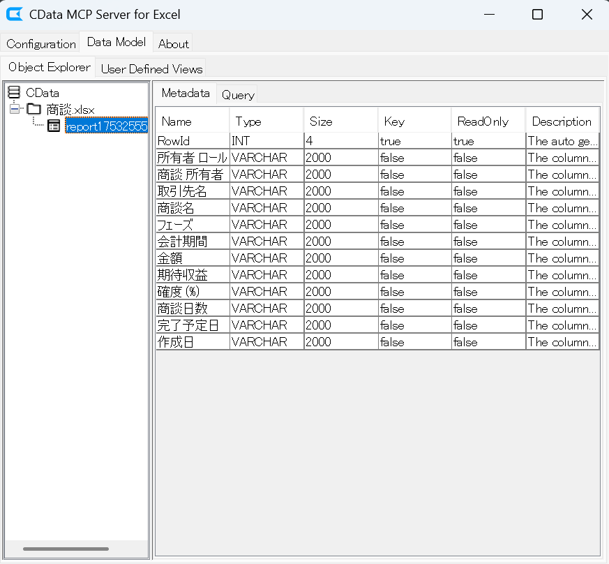 McpServerSalesforce